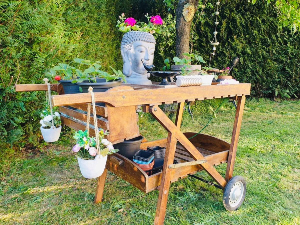 Maison Blanche De Hudson Cussac  Buitenkant foto